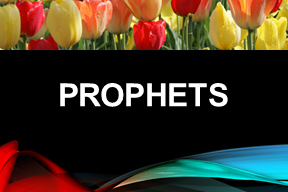 Stories of Prophets in Holy Quran