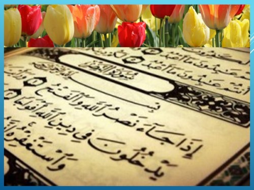 The Holy Quran Recitation